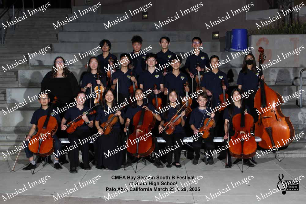 Musical Images